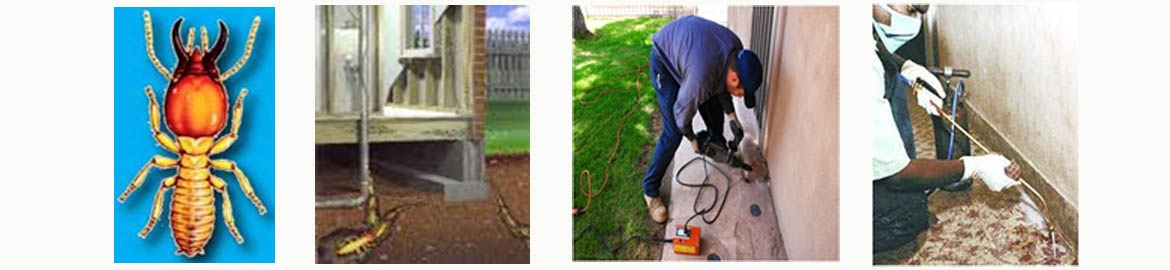 Drill Fill and Seal Technique