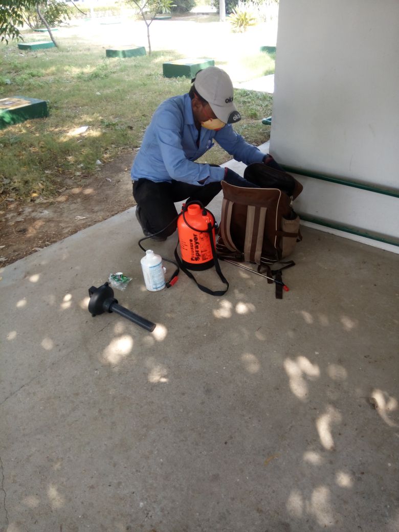 Pest Control Service