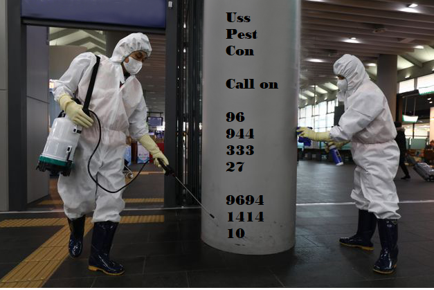 Pest Control Service