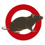 Pest Control Service