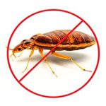 Pest Control Service