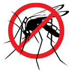 Pest Control Service