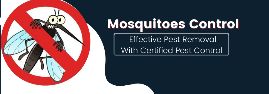 Mosquito Control