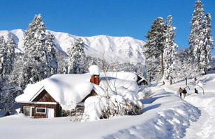 Srinagar tour packages