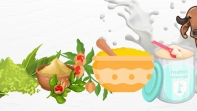 Gir Cow Ghee