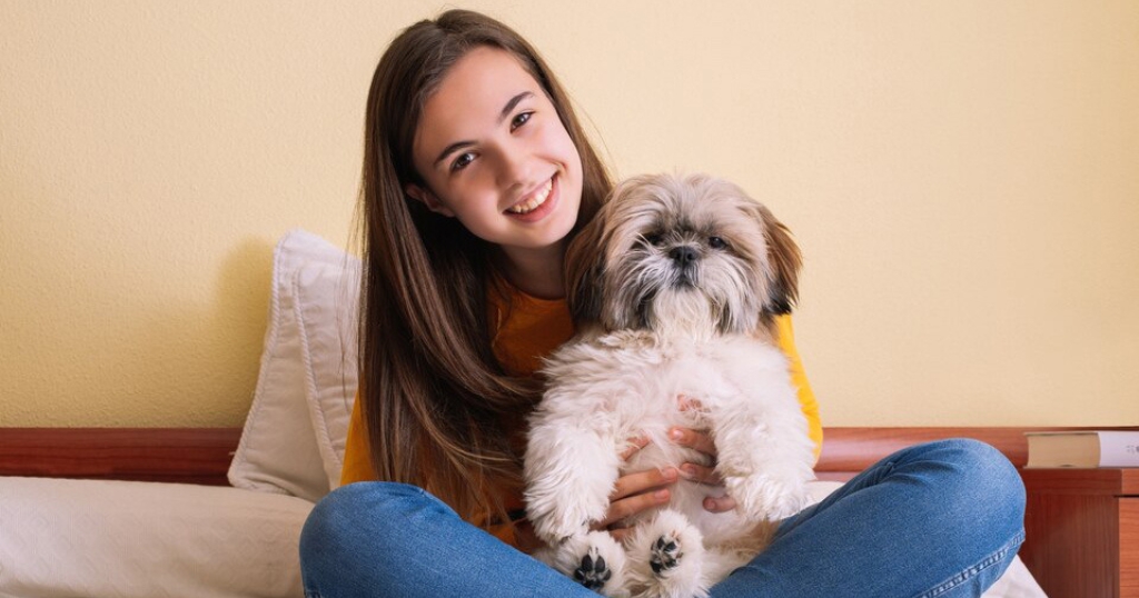 Teacup Shih Tzu Puppies for Sale