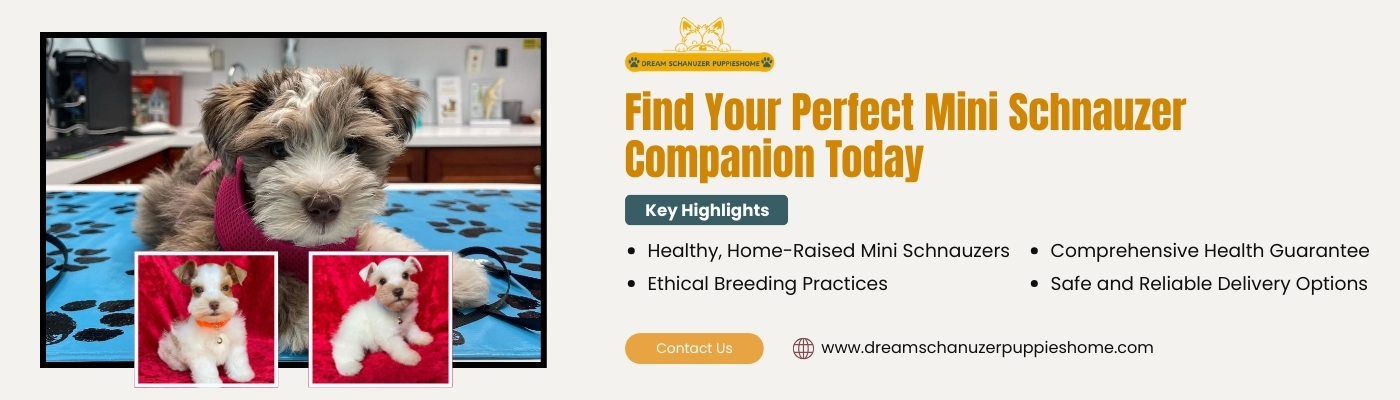 Pet Shipping Service