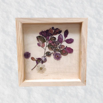 Wall Art for Home