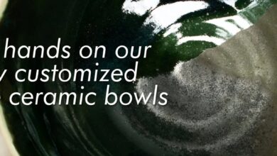Dinner Bowl Set