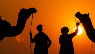 Rajasthan Tour Packages