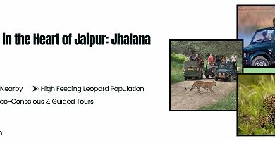 Jhalana Leopard Safari Tour