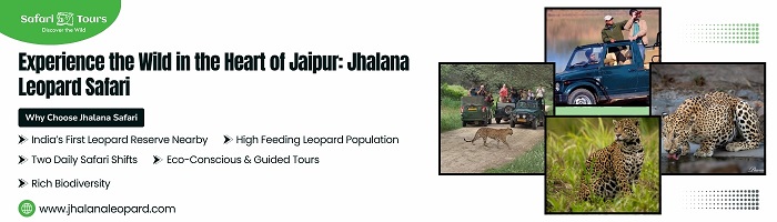 Jhalana Leopard Safari Tour