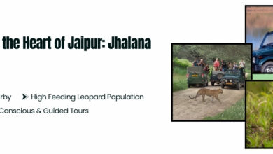 Jhalana Safari Tour Packages