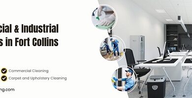 Cleaning Apartment Services