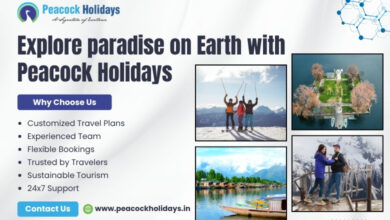 Kashmir Tour Package for Couple