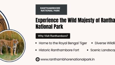 Ranthambore Online safari Booking