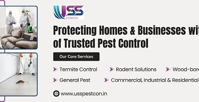 Pest control in Jaipur