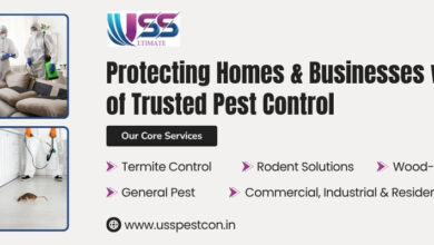 best pest control in Jaipur