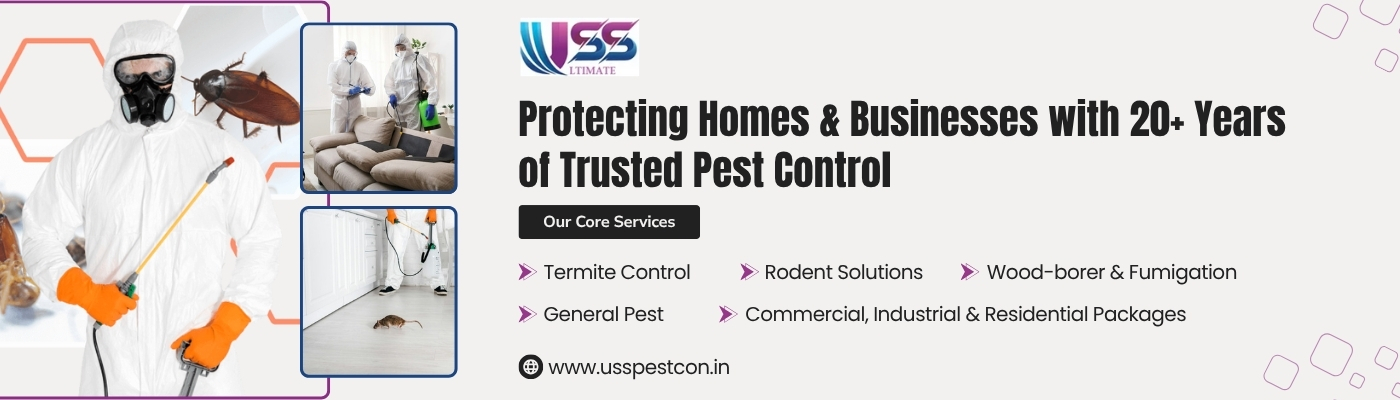 best pest control in Jaipur