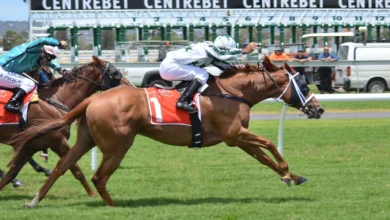 Handicapper Badsha Tips