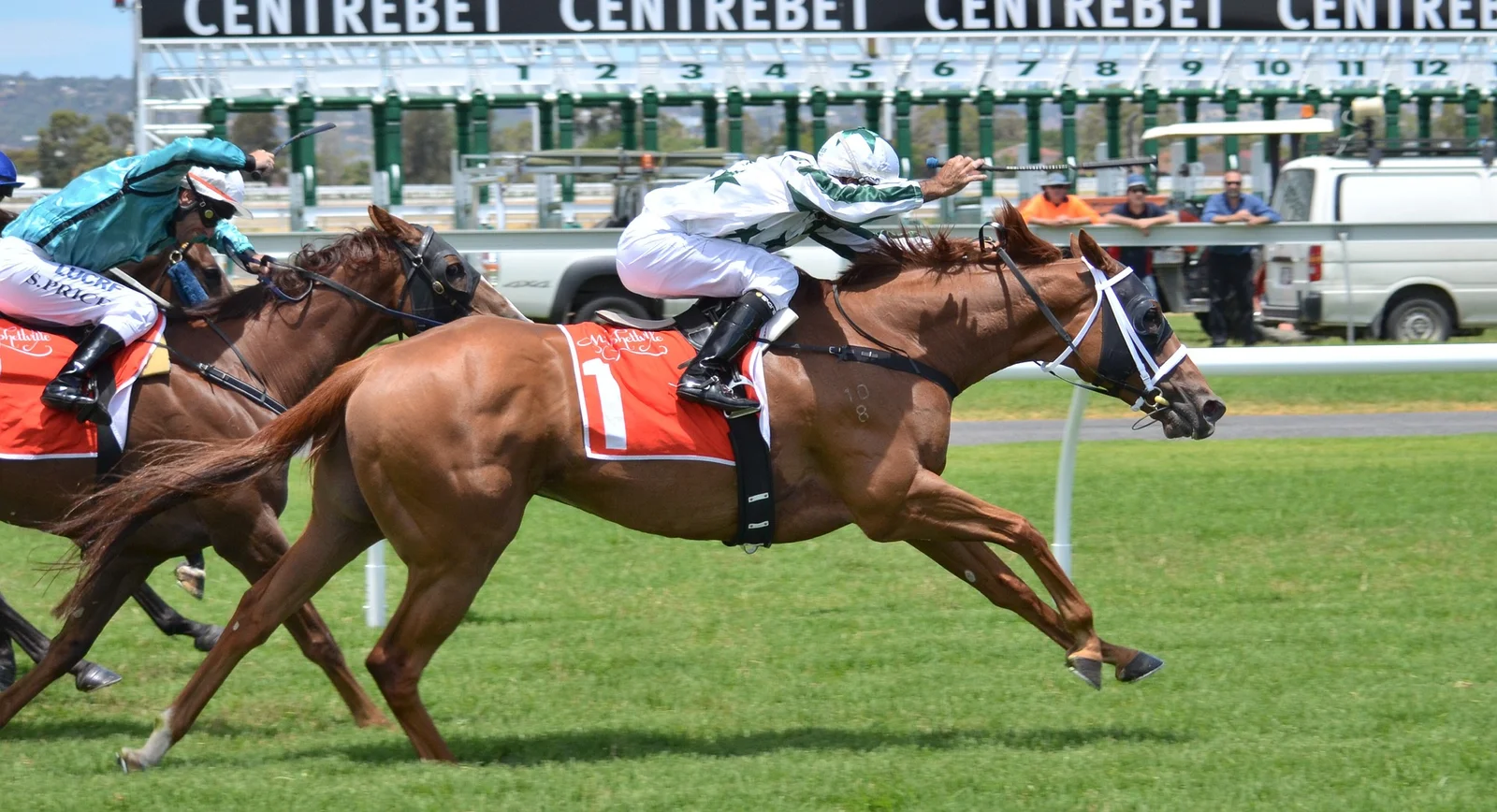 Handicapper Badsha Tips
