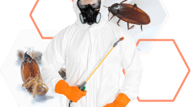 Pest control Jaipur