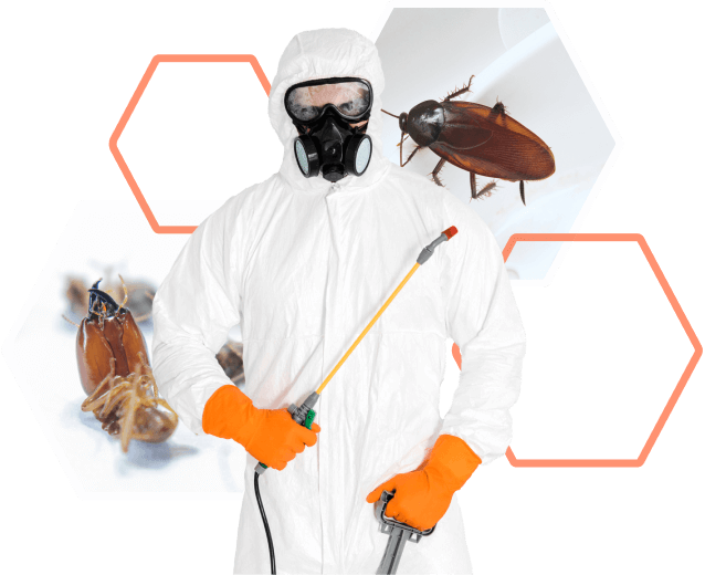 Pest control Jaipur