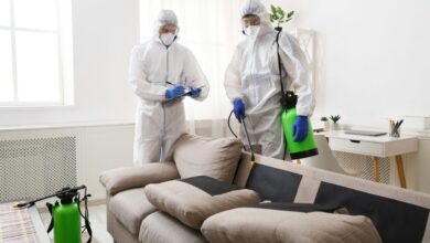 best pest control services in Jaipur