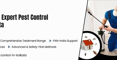 Pest Control Kolkata