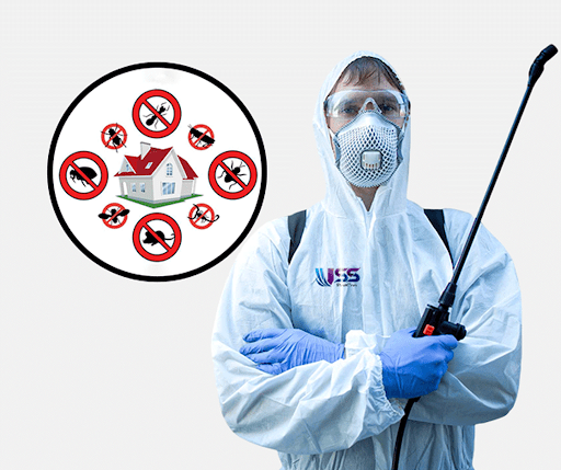 Best Pest Control Services in Kolkata