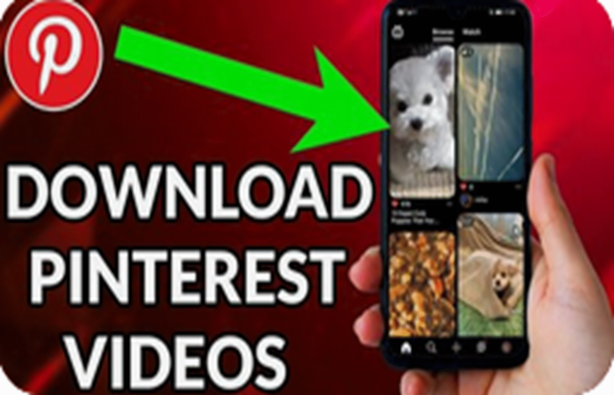 Pinterest Copy Link Downloader