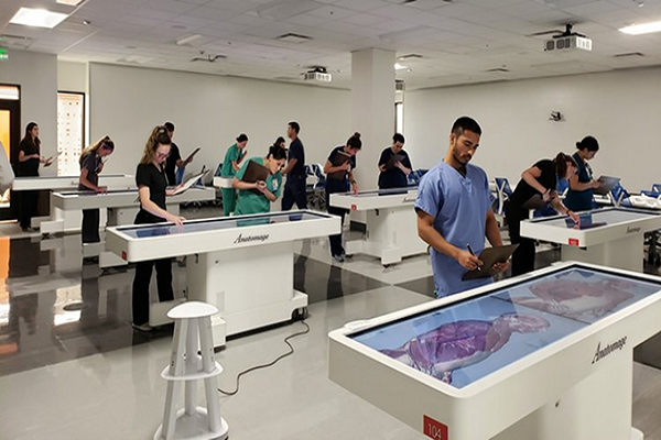 Anatomage Tables
