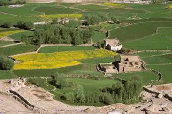 Conversion of Land in Rajasthan