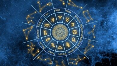 Online Vedic Astrology Services