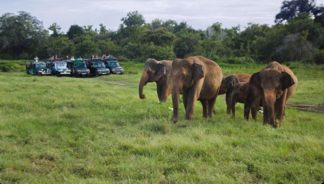 Ranthambore weekend package