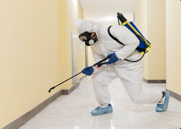Residential Pest Control Service in Jaipur