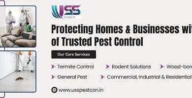 Pest Control Service in Jaipur