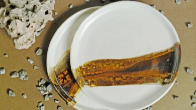 Plate Pottery